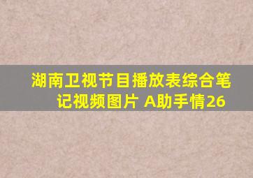 湖南卫视节目播放表综合笔记视频图片 A助手情26